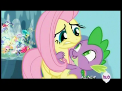 Size: 720x540 | Tagged: safe, screencap, character:breezette, character:fluttershy, character:spike, species:breezies, episode:it ain't easy being breezies, g4, my little pony: friendship is magic, season 4, clothing, hat, hub logo, hug, mushroom hat