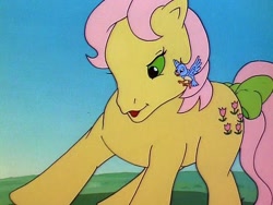 Size: 512x386 | Tagged: safe, screencap, character:posey, species:bird, species:earth pony, species:pony, g1, my little pony 'n friends, angry, female, siblings, sisters