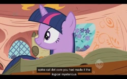 Size: 640x400 | Tagged: dead source, safe, screencap, character:owlowiscious, character:twilight sparkle, episode:owl's well that ends well, g4, my little pony: friendship is magic, ei, hub logo, youtube caption