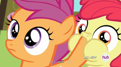 Size: 640x355 | Tagged: safe, screencap, character:apple bloom, character:scootaloo, species:pegasus, species:pony, episode:somepony to watch over me, g4, my little pony: friendship is magic, hoof in mouth, hub logo, meme, puffy cheeks, youtube caption