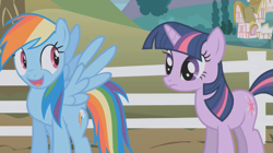 Size: 639x359 | Tagged: safe, screencap, character:rainbow dash, character:twilight sparkle, awesome face, wingboner