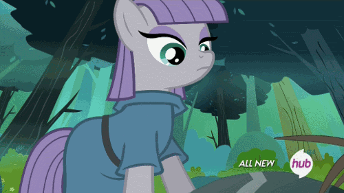 Size: 500x281 | Tagged: safe, screencap, character:fluttershy, character:maud pie, episode:maud pie, g4, my little pony: friendship is magic, animated, cute, drool, eye shimmer, flower, fuzzy legs, hub logo, hubble, offering, present, smiling, spider, spiderbro, talking, the hub