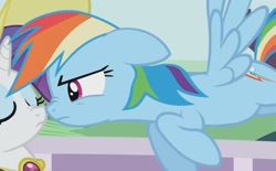 Size: 640x397 | Tagged: safe, screencap, character:rainbow dash, character:rarity, episode:sweet and elite, g4, my little pony: friendship is magic, boop, imminent kissing, scrunchy face