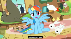 Size: 631x351 | Tagged: safe, screencap, character:rainbow dash, species:chicken, species:rabbit, episode:magical mystery cure, g4, my little pony: friendship is magic, chick, chipmunk, hub logo, meme, sea lion, seal, squirrel, what my cutie mark is telling me, youtube caption