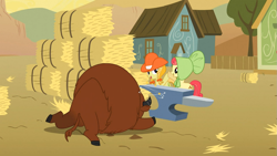 Size: 1365x768 | Tagged: safe, screencap, character:apple bumpkin, character:jonagold, species:buffalo, episode:over a barrel, g4, my little pony: friendship is magic, apple family member, background pony