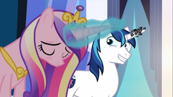 Size: 1365x767 | Tagged: safe, screencap, character:princess cadance, character:shining armor, species:pony, species:unicorn, episode:the crystal empire, g4, my little pony: friendship is magic, duo, female, glowing horn, horn, horn crystals, magic, magic aura, magic suppression, male, mare, stallion, tired