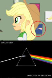 Size: 593x890 | Tagged: safe, screencap, character:applejack, episode:a case for the bass, equestria girls:rainbow rocks, g4, my little pony:equestria girls, album cover, andy warhol, hipgnosis, pink floyd, the dark side of the moon, the velvet underground, the velvet underground & nico, wilco