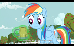 Size: 768x480 | Tagged: safe, screencap, character:rainbow dash, episode:the super speedy cider squeezy 6000, g4, my little pony: friendship is magic, cider, magic, youtube caption