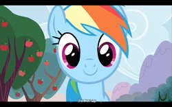 Size: 768x480 | Tagged: safe, screencap, character:rainbow dash, episode:the super speedy cider squeezy 6000, g4, my little pony: friendship is magic, youtube caption