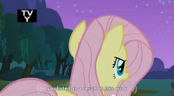 Size: 640x354 | Tagged: safe, screencap, character:fluttershy, episode:stare master, g4, my little pony: friendship is magic, tv rating, youtube caption