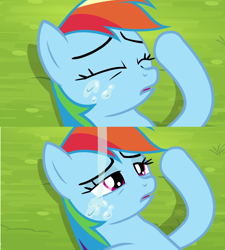 Size: 1920x2130 | Tagged: safe, screencap, character:rainbow dash, episode:trade ya, g4, my little pony: friendship is magic, drool, out of context, solo