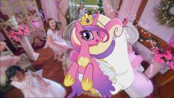 Size: 853x480 | Tagged: safe, official, screencap, character:princess cadance, species:bird, species:human, species:pony, commercial, irl, photo, ponies in real life, vector, youtube link