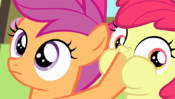 Size: 500x281 | Tagged: safe, screencap, character:apple bloom, character:scootaloo, species:pegasus, species:pony, episode:somepony to watch over me, g4, my little pony: friendship is magic, hoof in mouth, puffy cheeks