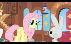 Size: 768x480 | Tagged: safe, screencap, character:angel bunny, character:fluttershy, episode:putting your hoof down, g4, my little pony: friendship is magic, bill clinton, hub logo, youtube caption