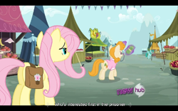 Size: 768x480 | Tagged: safe, screencap, character:fluttershy, character:spring melody, character:sprinkle medley, episode:putting your hoof down, g4, my little pony: friendship is magic, hub logo, lucy packard, youtube caption