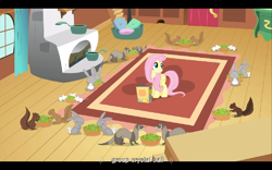 Size: 768x480 | Tagged: safe, screencap, character:fluttershy, episode:putting your hoof down, g4, my little pony: friendship is magic, fortune telling, youtube caption