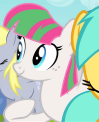Size: 222x274 | Tagged: safe, screencap, character:blossomforth, character:derpy hooves, character:sunshower raindrops, species:pegasus, species:pony, episode:hurricane fluttershy, g4, my little pony: friendship is magic, adoraforth, background pony, cropped, cute, eyes closed, female, mare, smiling, solo focus