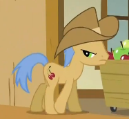 Size: 187x172 | Tagged: safe, screencap, species:earth pony, species:pony, episode:over a barrel, g4, my little pony: friendship is magic, background pony, cherry strudel, clothing, cowboy hat, cropped, hat, solo