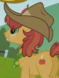 Size: 262x347 | Tagged: safe, screencap, character:half baked apple, species:earth pony, species:pony, episode:apple family reunion, g4, my little pony: friendship is magic, apple family member, background pony, bucktooth, cropped, male, solo, stallion