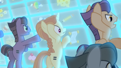 Size: 1050x590 | Tagged: safe, screencap, species:earth pony, species:pony, species:unicorn, episode:the cutie map, g4, my little pony: friendship is magic, amber tresses, background pony, braid, cutie mark, cutie mark vault, equal cutie mark, equalized mane, female, male, mare, stallion