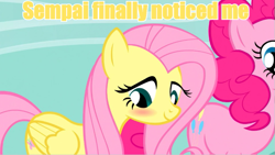 Size: 665x375 | Tagged: safe, screencap, character:fluttershy, image macro, meme, senpai noticed me, yellow text