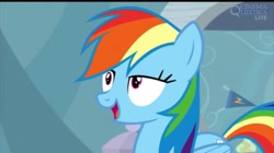 Size: 1079x603 | Tagged: safe, screencap, character:rainbow dash, episode:tanks for the memories, g4, my little pony: friendship is magic