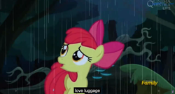 Size: 1600x855 | Tagged: safe, screencap, character:apple bloom, episode:appleoosa's most wanted, g4, my little pony: friendship is magic, meme, youtube caption