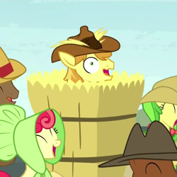 Size: 1080x1080 | Tagged: safe, screencap, character:apple bumpkin, character:apple fritter, character:braeburn, character:coco crusoe, character:meadow song, species:pony, episode:appleoosa's most wanted, g4, my little pony: friendship is magic, apple family member, hay, hayburn