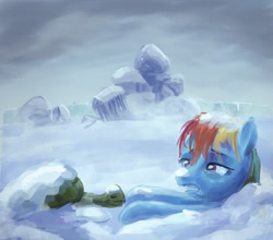 Size: 800x703 | Tagged: safe, artist:hunternif, character:rainbow dash, character:tank, episode:tanks for the memories, g4, my little pony: friendship is magic