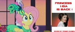 Size: 1504x635 | Tagged: safe, screencap, character:fluttershy, episode:make new friends but keep discord, g4, my little pony: friendship is magic, :i, alternate hairstyle, comparison, crossover, princess leia, star wars, we bought two cakes
