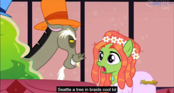 Size: 1600x855 | Tagged: safe, screencap, character:discord, character:smooze, character:tree hugger, episode:make new friends but keep discord, g4, my little pony: friendship is magic, clothing, dress, gala dress, lol, meme, seattle, youtube caption