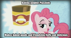 Size: 499x268 | Tagged: safe, screencap, character:pinkie pie, episode:the lost treasure of griffonstone, g4, my little pony: friendship is magic, baking powder, bioshock, raised eyebrow