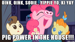 Size: 610x342 | Tagged: safe, screencap, character:pinkie pie, character:pound cake, character:pumpkin cake, cake twins, gordy, image macro, meme, nostalgia critic, pig nose, piggie pie, song reference