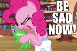 Size: 750x500 | Tagged: safe, screencap, character:gummy, character:pinkie pie, episode:just for sidekicks, g4, my little pony: friendship is magic, book, caption, eyes closed, image macro, library, reaction image, saddle bag, yelling