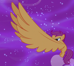 Size: 333x300 | Tagged: safe, screencap, character:scootaloo, species:pegasus, species:pony, episode:do princesses dream of magic sheep?, alicorn wings, big wings, cropped, dream, female, filly, flying, foal, night, solo