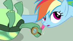 Size: 1280x720 | Tagged: safe, screencap, character:rainbow dash, character:tank, episode:just for sidekicks, g4, my little pony: friendship is magic