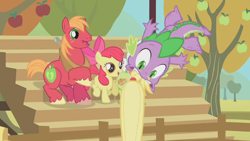 Size: 852x480 | Tagged: safe, screencap, character:apple bloom, character:applejack, character:big mcintosh, character:granny smith, character:spike, species:earth pony, species:pony, episode:fall weather friends, g4, my little pony: friendship is magic, male, stallion, tail bite