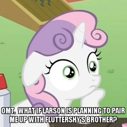 Size: 500x500 | Tagged: safe, screencap, character:fluttershy, character:sweetie belle, character:zephyr breeze, brother, exploitable meme, image macro, implied zephyr breeze, m.a. larson, meme, solo, sudden clarity sweetie belle