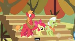 Size: 635x348 | Tagged: safe, screencap, character:apple bloom, character:big mcintosh, character:granny smith, species:earth pony, species:pony, male, nope, stallion, youtube caption