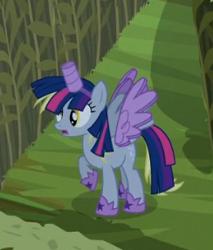 Size: 244x287 | Tagged: safe, screencap, character:derpy hooves, character:twilight sparkle, character:twilight sparkle (alicorn), species:alicorn, species:pony, episode:scare master, g4, my little pony: friendship is magic, alicorn costume, clothing, cosplay, costume, disguise, fake horn, fake wings, female, frown, mare, nightmare night, nightmare night costume, open mouth, paper-thin disguise, raised hoof, solo, spread wings, toilet paper roll, toilet paper roll horn, twilight muffins, wig, wings