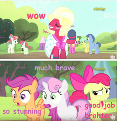 Size: 854x886 | Tagged: safe, screencap, character:apple bloom, character:big mcintosh, character:blues, character:cherry berry, character:noteworthy, character:rainberry, character:rainbow stars, character:scootaloo, character:sunshower raindrops, character:sweetie belle, species:earth pony, species:pegasus, species:pony, episode:brotherhooves social, g4, my little pony: friendship is magic, comic sans, cutie mark crusaders, doge, image macro, male, meme, orchard blossom, pink text, purple text, stallion, text