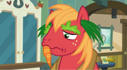 Size: 1080x597 | Tagged: safe, screencap, character:big mcintosh, species:earth pony, species:pony, episode:brotherhooves social, g4, my little pony: friendship is magic, carrot, farm, lettuce, male, sad, solo, stallion, walrus