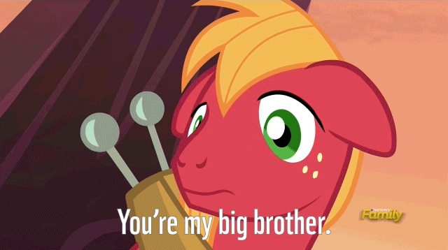 Size: 640x358 | Tagged: safe, screencap, character:apple bloom, character:big mcintosh, species:earth pony, species:pony, episode:brotherhooves social, g4, my little pony: friendship is magic, adorabloom, animated, brother and sister, cute, dawwww, duo, equestria's best big brother, feels, female, floppy ears, heartwarming, hnnng, i'm not crying, macabetes, male, stallion, subtitles, sweet dreams fuel