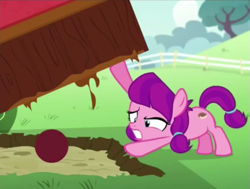 Size: 575x435 | Tagged: safe, screencap, character:lily longsocks, species:earth pony, species:pony, episode:crusaders of the lost mark, g4, my little pony: friendship is magic, ball, cropped, filly, foal, lifting, strength, stronk, super strength