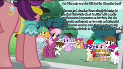 Size: 1920x1080 | Tagged: safe, screencap, character:apple bloom, character:aquamarine, character:cheerilee, character:diamond tiara, character:pipsqueak, character:scootaloo, character:silver spoon, character:snails, character:spoiled rich, character:super funk, character:sweetie belle, character:twist, species:earth pony, species:pegasus, species:pony, episode:crusaders of the lost mark, g4, my little pony: friendship is magic, colt, cutie mark crusaders, little red, male, question, school, text