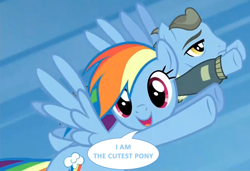 Size: 974x668 | Tagged: safe, screencap, character:rainbow dash, character:wind rider, species:pegasus, species:pony, episode:rarity investigates, g4, my little pony: friendship is magic, cute, dashabetes, dialogue, female, flying, image macro, looking at you, male, mare, meme, open mouth, smiling, speech bubble, stallion, text