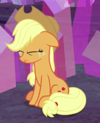 Size: 376x460 | Tagged: safe, screencap, character:applejack, episode:hearthbreakers, g4, my little pony: friendship is magic, crying, eyes closed, floppy ears, frown, sitting, solo