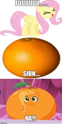 Size: 500x990 | Tagged: safe, screencap, character:fluttershy, episode:what about discord?, g4, my little pony: friendship is magic, dragon ball z, flutterrange, food, fusion, image macro, inanimate tf, meme, orange, orangified, transformation