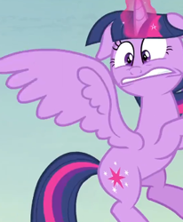 Size: 306x371 | Tagged: safe, screencap, character:twilight sparkle, character:twilight sparkle (alicorn), species:alicorn, species:pony, episode:the hooffields and mccolts, g4, my little pony: friendship is magic, faec, female, mare
