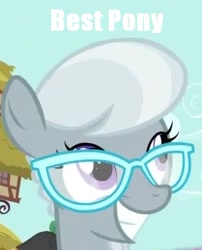 Size: 362x447 | Tagged: safe, artist:aa, screencap, character:silver spoon, best pony, image macro, meme